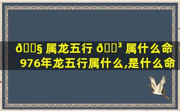 🐧 属龙五行 🐳 属什么命（1976年龙五行属什么,是什么命）